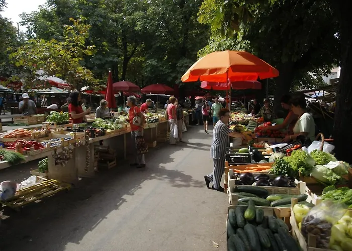 Dominik Διαμέρισμα