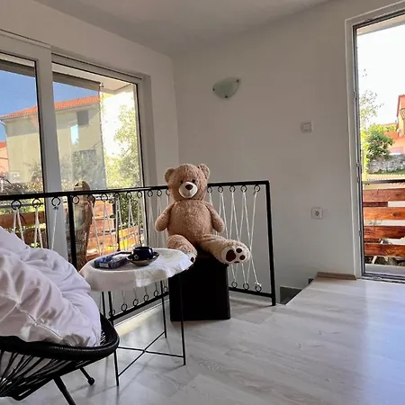 Dominik 풀라
